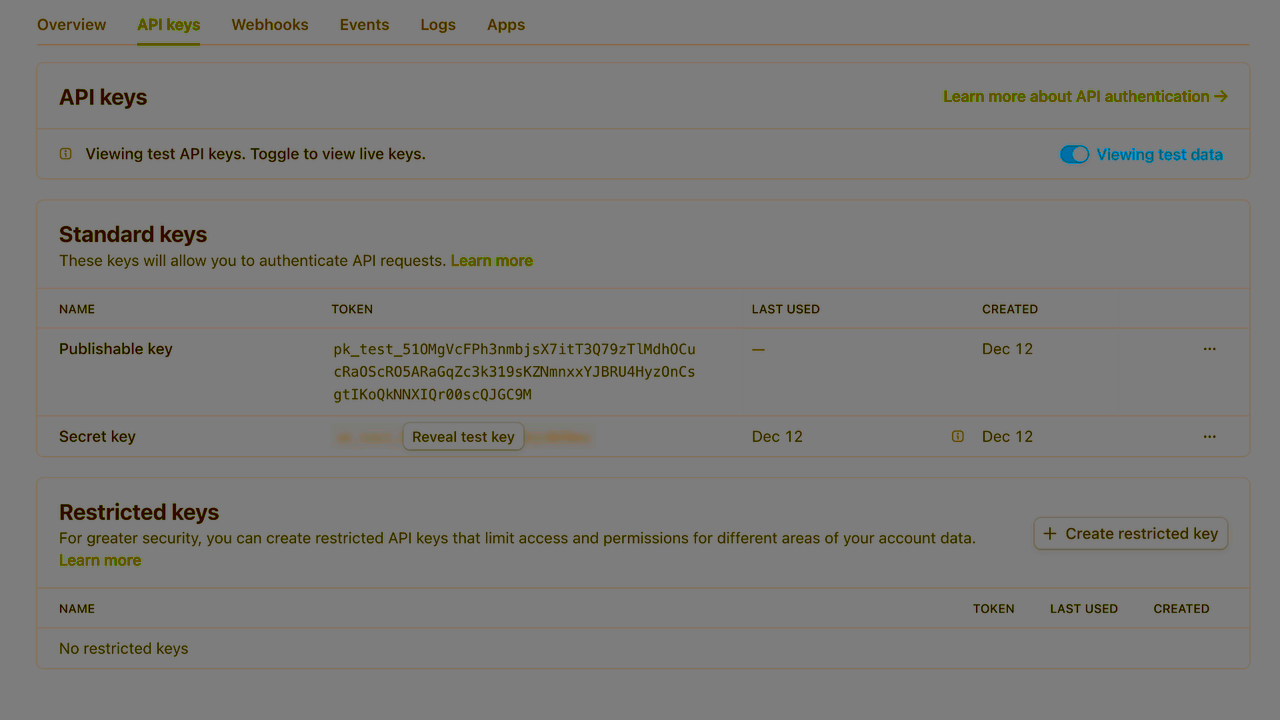 Stripe API key screen